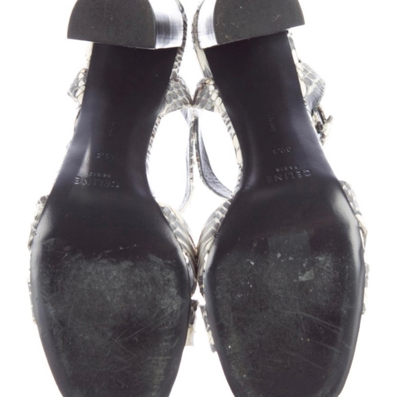 Celine Snakeskin Sandals with Block Heels